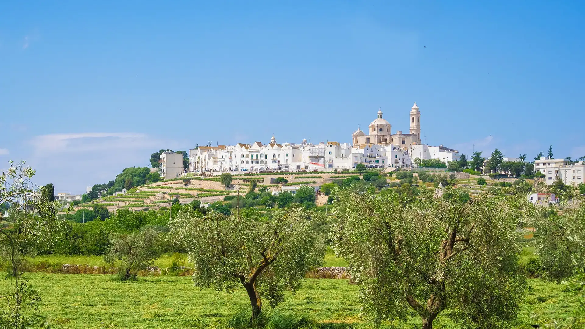 Panorama of a hill town with olive groves and blue sky.