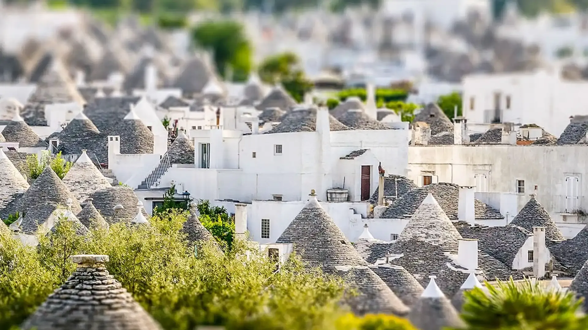 Characteristic white trulli with conical roofs in the village of Alberobello.