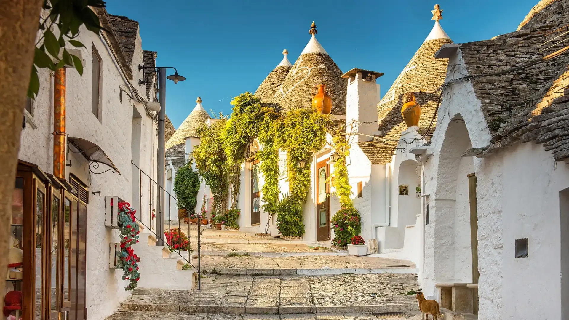 Rue avec maisons blanches et toits coniques, fleurs et un chat.